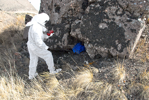 bioism creatures exposed to radioactive isotopes emitting alpha, beta and gamma radiation at the surface of the melted concrete contaminated with plutonium, strontium and americium particles at the nuclear test site of Semipalatinsk; exploring biological and mental health effects