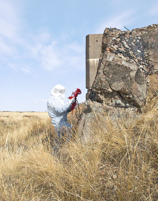 bioism creatures exposed to radioactive isotopes emitting alpha, beta and gamma radiation at the surface of the melted concrete contaminated with plutonium, strontium and americium particles at the nuclear test site of Semipalatinsk; exploring biological and mental health effects