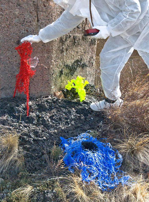 bioism creatures exposed to radioactive isotopes emitting alpha, beta and gamma radiation at the surface of the melted concrete contaminated with plutonium, strontium and americium particles at the nuclear test site of Semipalatinsk; exploring biological and mental health effects