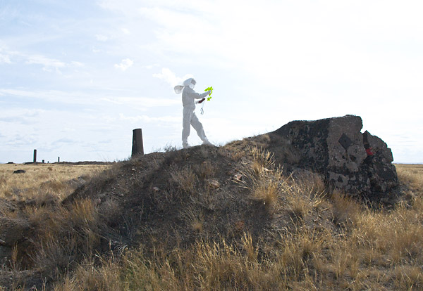 bioism creatures exposed to radioactive isotopes emitting alpha, beta and gamma radiation at the surface of the melted concrete contaminated with plutonium, strontium and americium particles at the nuclear test site of Semipalatinsk; exploring biological and mental health effects