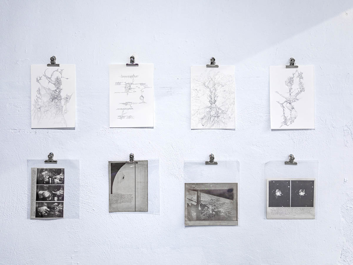 Aljoscha, bioism, biofuturism