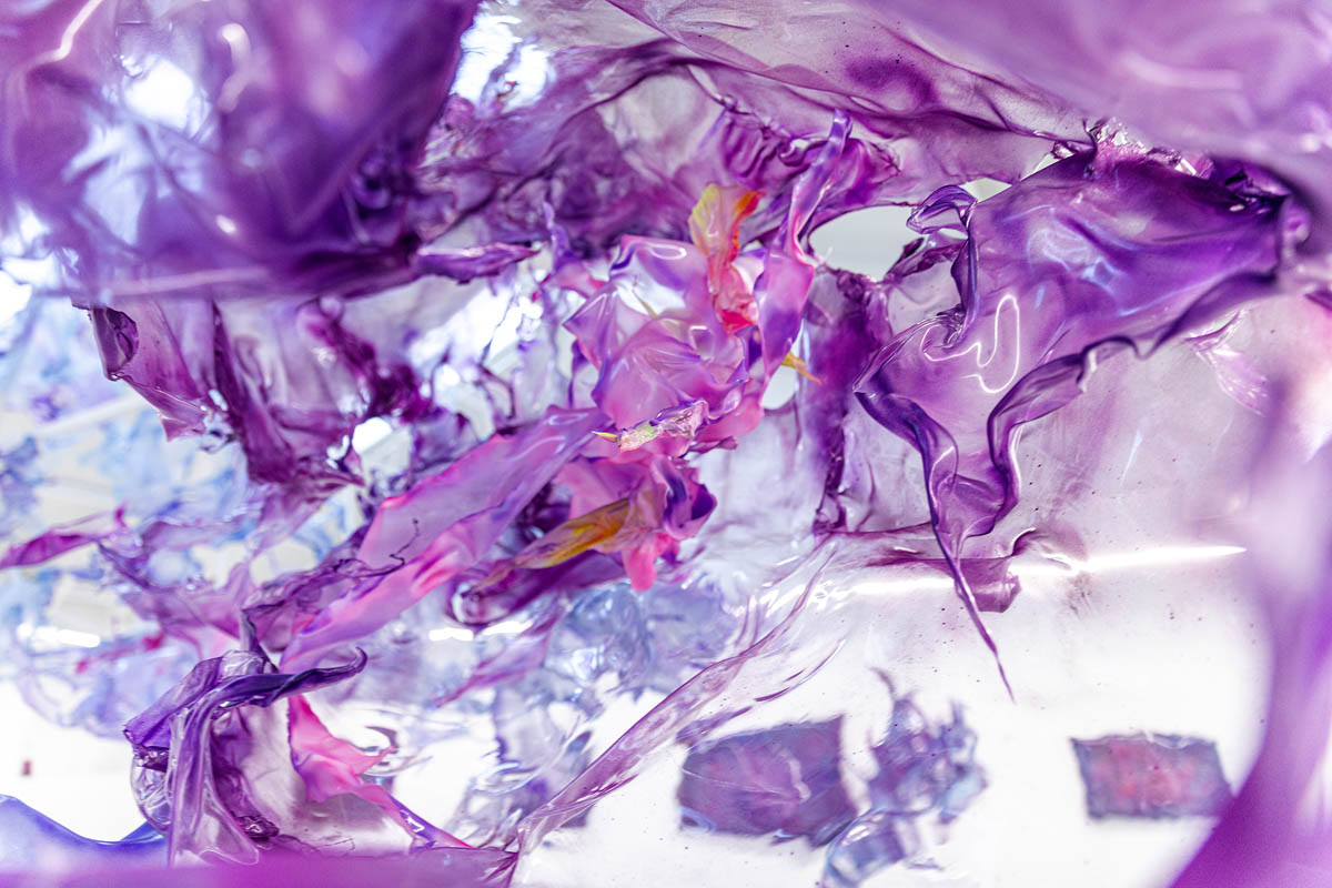 Aljoscha, bioism, biofuturism