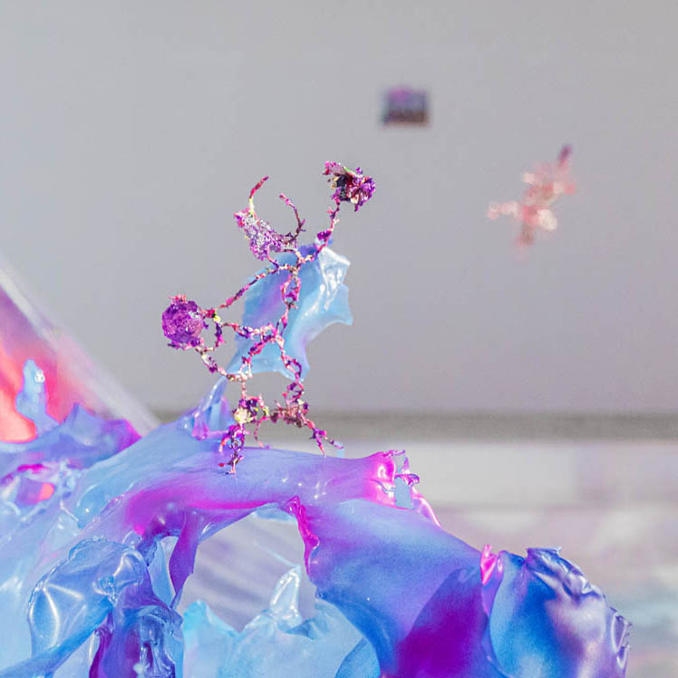 Aljoscha, bioism, biofuturism