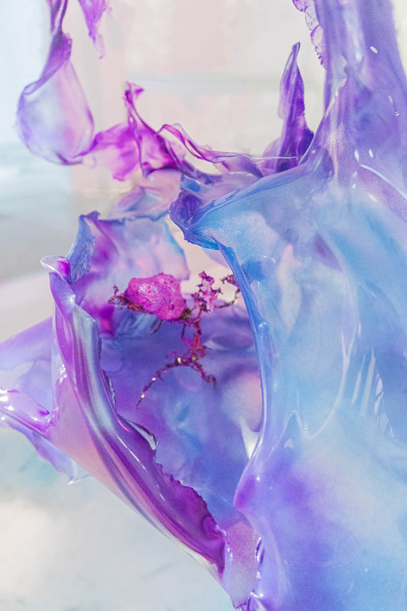 Aljoscha, bioism, biofuturism