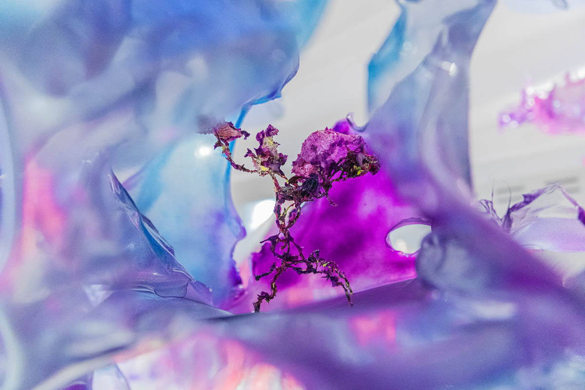 Aljoscha, bioism, biofuturism